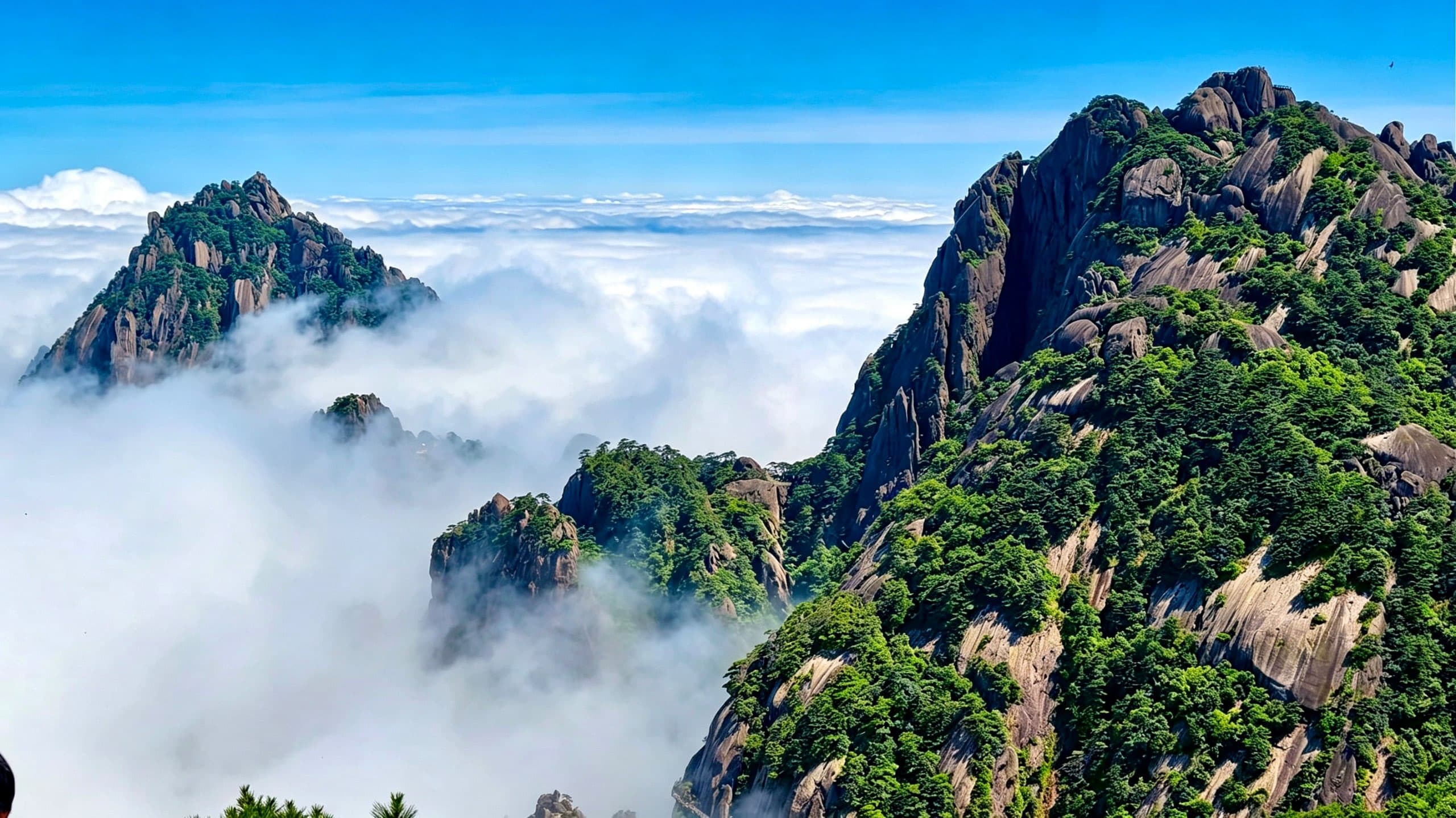黄山相册第 11 张照片