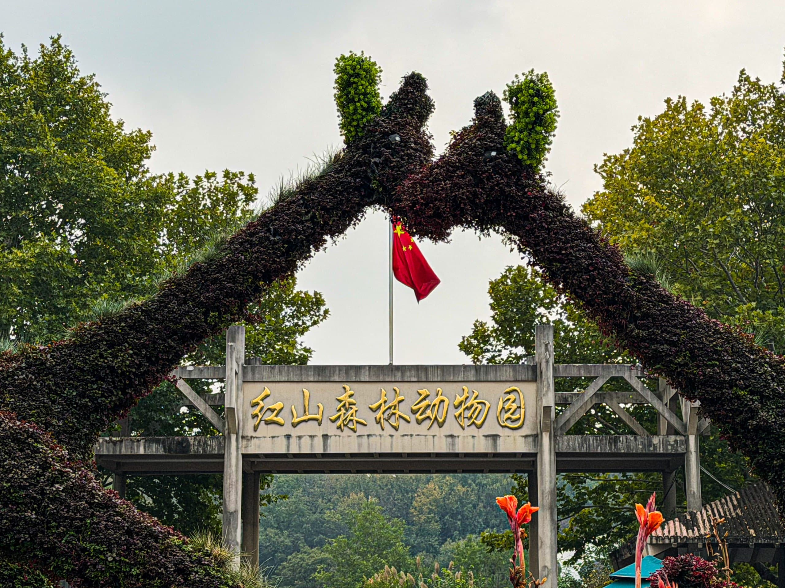 南京相册第 17 张照片