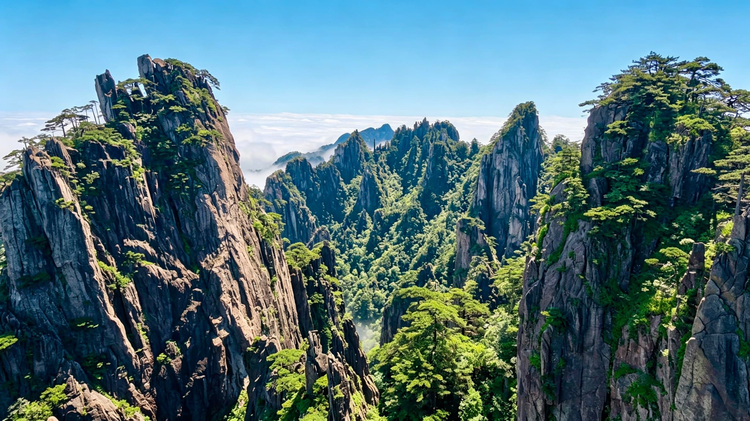 黄山相册第 7 张照片