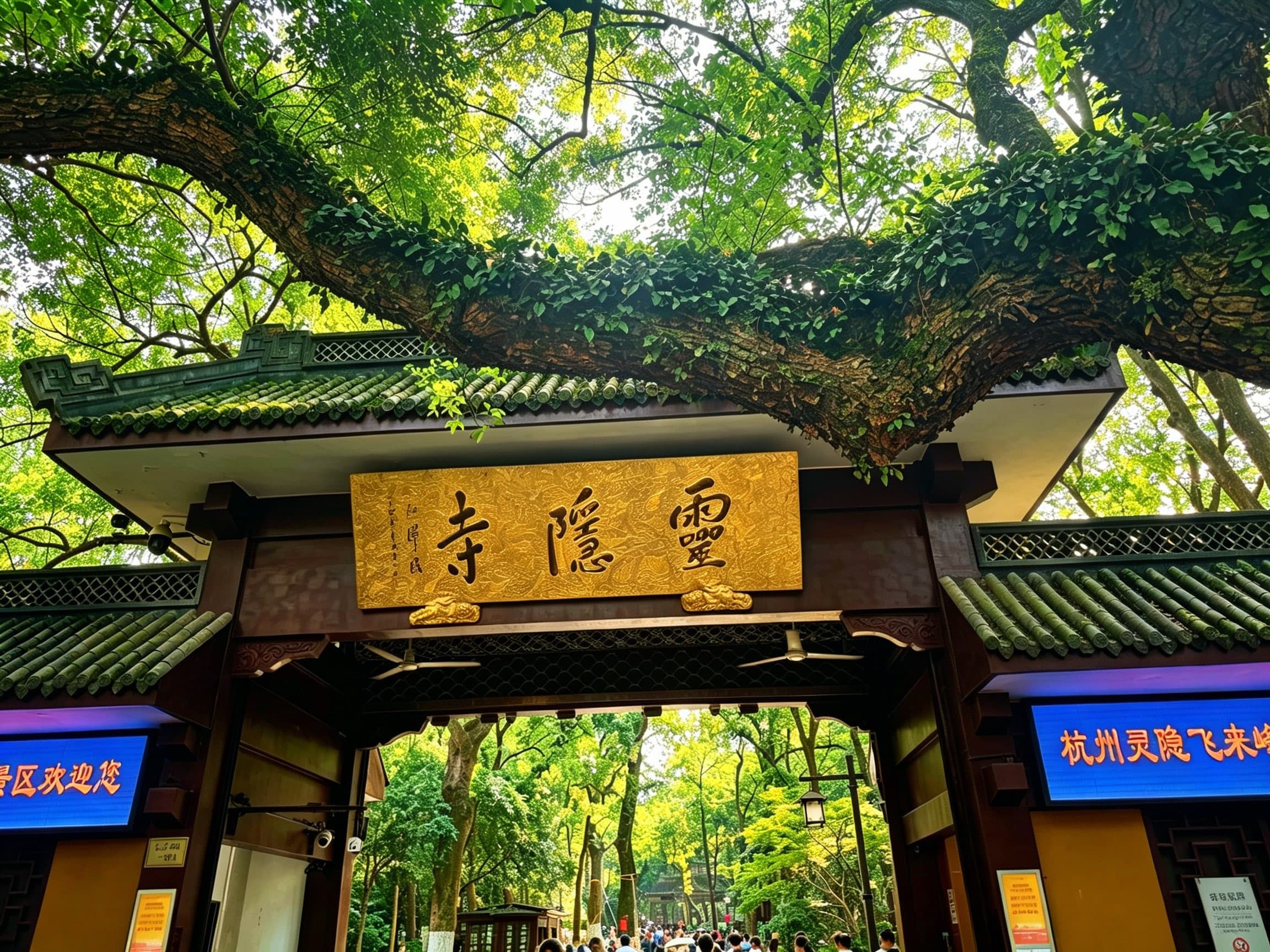 杭州相册第 3 张照片