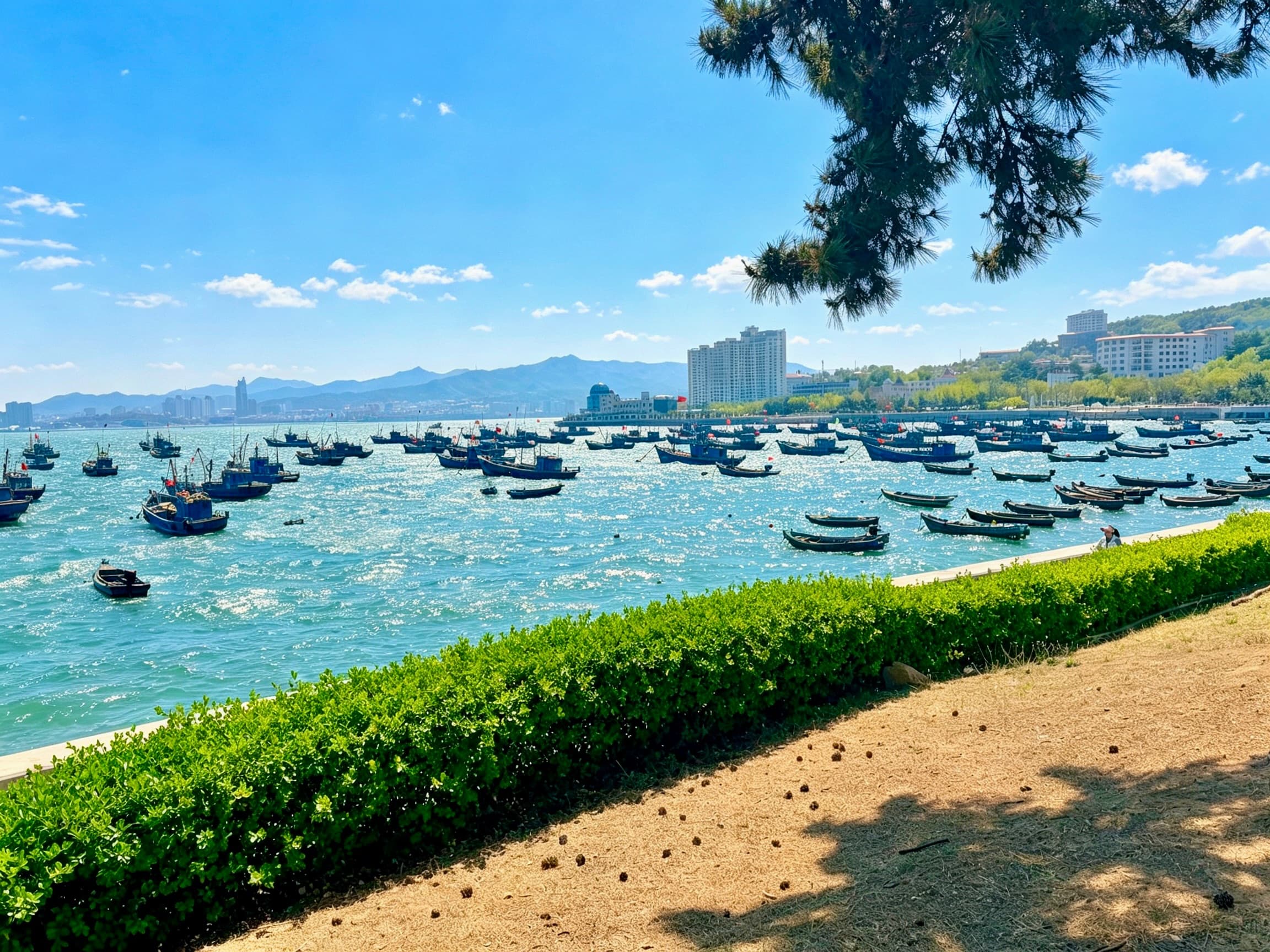 威海相册第 15 张照片